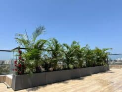 Alternative view of אדנית EDA - XL גדולה - גימור בזלת אפור