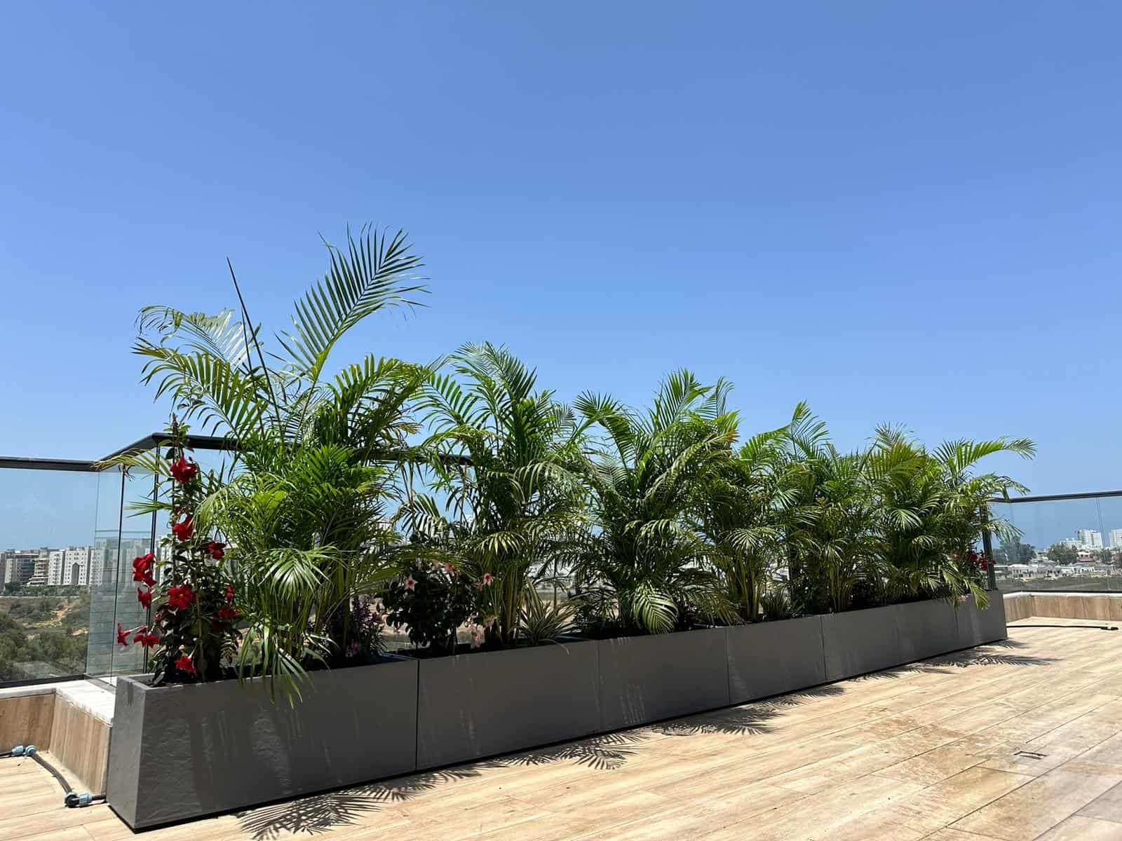 אדנית EDA - XL גדולה - גימור בזלת אפור – תמונה 2