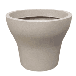 גביע ברזילאי מתרחב בצבע חול