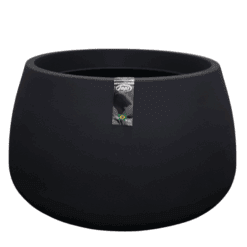 אדנית ברזילאית עגולה-צבע שחור