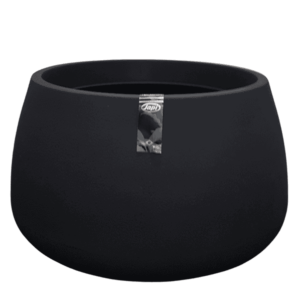 אדנית ברזילאית עגולה-צבע שחור