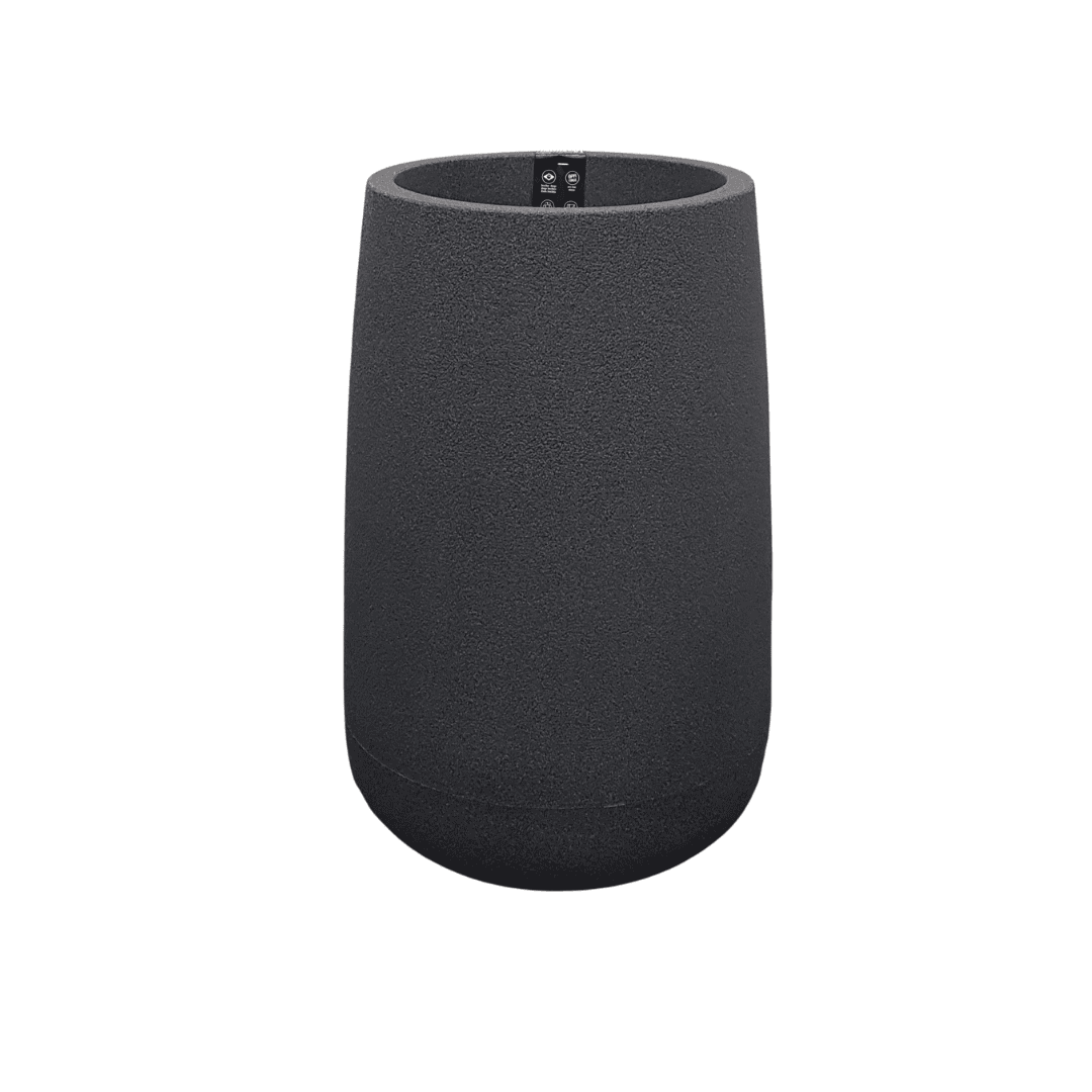 אדנית גליל ברזילאית-צבע אפור