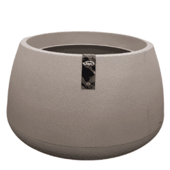 אדנית ברזילאית עגולה-צבע חול