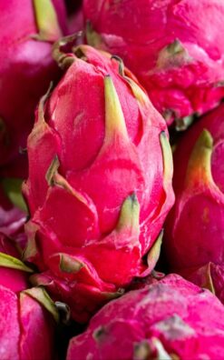 פיטאיה בדלי