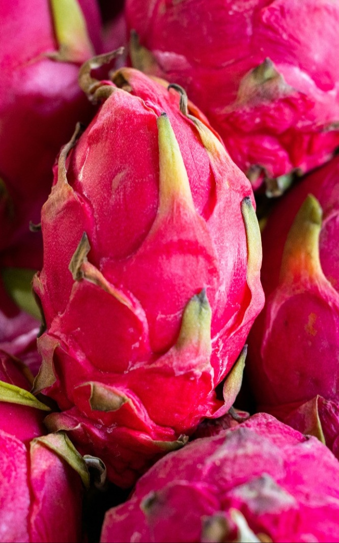 פיטאיה בדלי