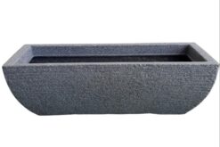 אדנית ברזילאית xl