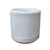 עציץ דקל צבע לבן
